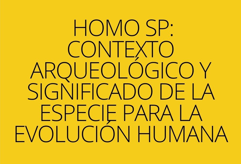 Homo SP